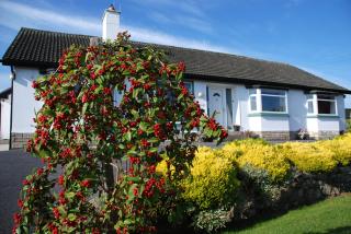 Castle View B&B - 7