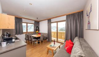 Das Grünholz Aparthotel - Mühlbach am Hochkönig - 2