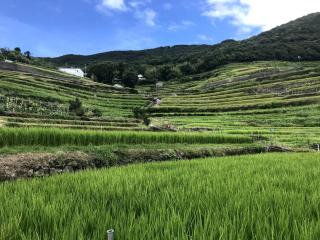 Engawa - Tonosho - 6