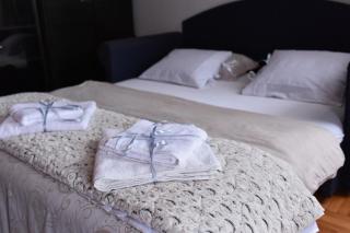 Blue House Apartment - Niš - 1
