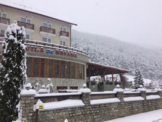 Vila Briana - Păltiniş - 6