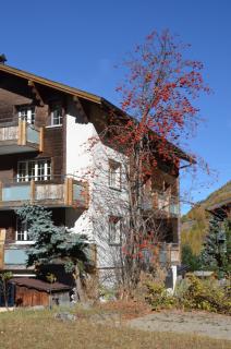 Haus Alpenperle - Saas-Almagell - 2
