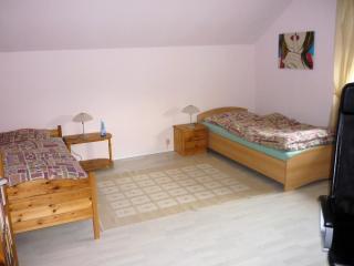 Comfortable apartment - Laatzen - 1