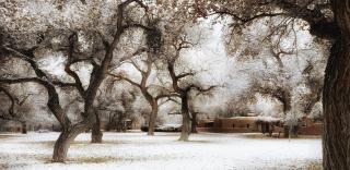 Morning Star Bed & Breakfast of Corrales - Corrales - 6