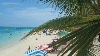 Caribic House - Montego Bay - 1