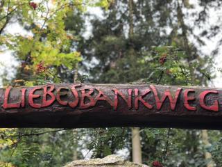 Ferienwohnungen Haus Landmann - Hahnenklee-Bockswiese - 3