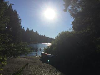 Ferienwohnungen Haus Landmann - Hahnenklee-Bockswiese - 1