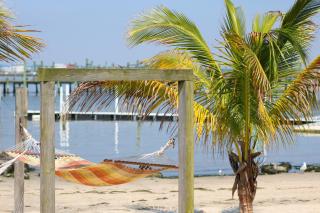 Oceanic Motel - Ocean City - 5