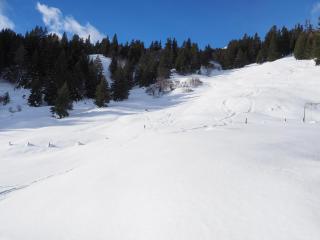 Tgantieni Sot - Apartment mit Herz - Lenzerheide - 6