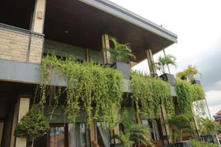 Bima Sakti House Canggu - Canggu - 6