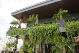 Bima Sakti House Canggu - Canggu - 4