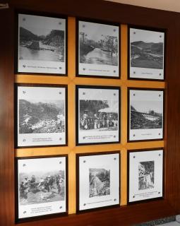 Elysium Garden - Munnar - 8