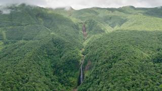 le "BWA ' KAO" - Capesterre-Belle-Eau - 9