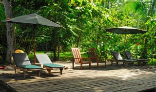 Playa Nicuesa Rainforest Eco Sanctuary - Golfito - 1