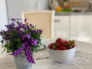 Karina Apartment - Budva - 1