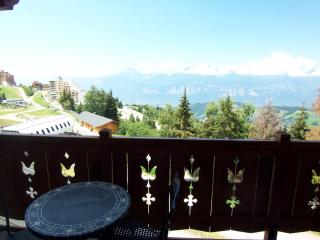 les 7 laux immobilier chalet B - 7
