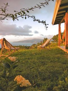 Mango Trees - Les Anses-d'Arlets - 3