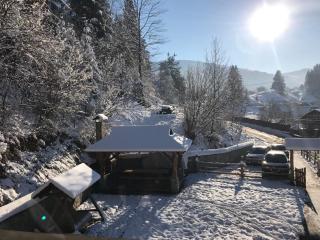 Karpatska Oselia - Verkhovyna - 5