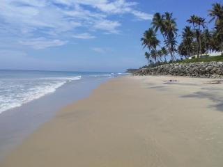 The First Place Yogaresort, Odayam - Varkala - 0