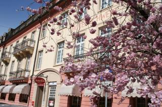 Hotel Schwert - Rastatt - 2