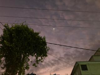 Dasu’s Restaurant & Villa - 3