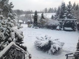 Noclegi Pod Borkiem - 4