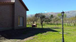 Antiguo Molle - Merlo - 7
