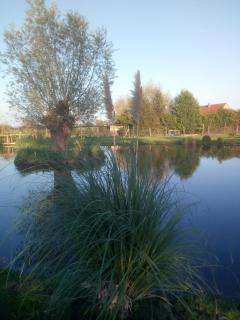chambre coin nature - Fromelles - 3