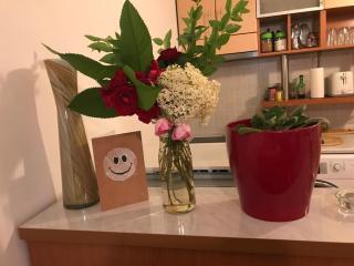 Orion Apartment 1 - 7