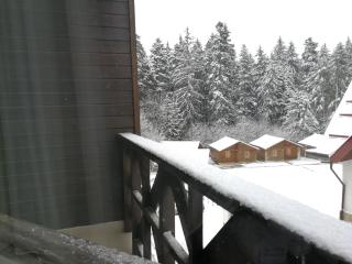 All Seasons Apartments Iglika 2 - Borovets - 3