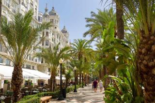 Un Lujo en el Corazón de Alicante - Alicante - 1