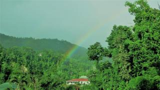 Chez Ophelia Cottage Apartments - 2