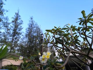 On Green Resort - 2