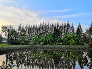 On Green Resort - Ban Huai Sua - 3