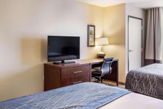 Comfort Inn & Suites Niagara Falls Blvd USA - Niagara Falls - 1
