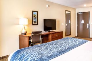 Comfort Inn & Suites Niagara Falls Blvd USA - 5