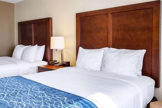 Comfort Inn & Suites Niagara Falls Blvd USA - Niagara Falls - 8