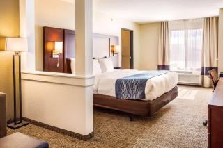 Comfort Inn & Suites Niagara Falls Blvd USA - Niagara Falls - 6