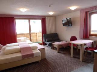 Alpina Appartements - Haldensee - 7