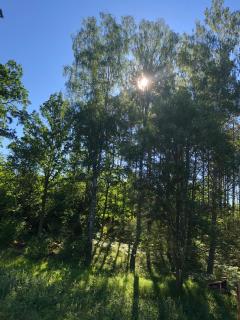 Ferienhaus Småland - Fågelfors - 1