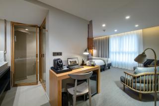 9Hotel Paquis - Ginevra - 7
