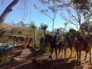 Fidelito Ranch & Lodge - Tambor - 2