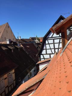 DUPLEX 15 - Colmar - 6