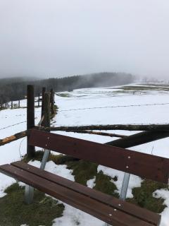 Ferienhaus Schneeweiß - Winterberg - 1