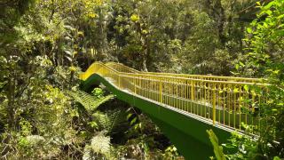 Refúgio Ecológico Amadamata - Nova Friburgo - 1
