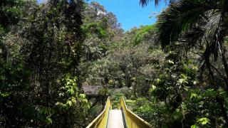 Refúgio Ecológico Amadamata - Nova Friburgo - 9