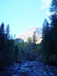 Chalet Le Trient - Trient - 9