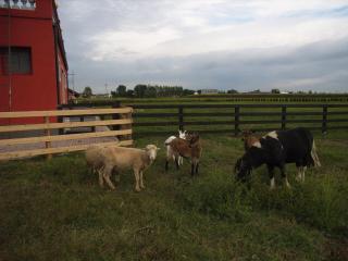 Tenuta del Vecchio Mulino - 9