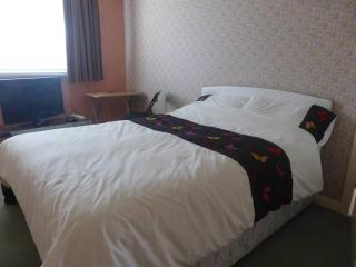 Lesley House - Bridgwater - 1