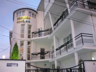 Pensiunea Leo - Braşov - 3